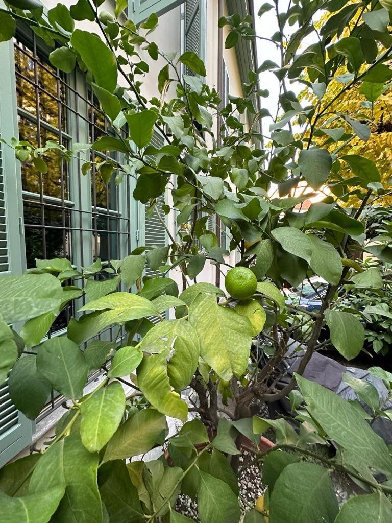Della Rocca Urban Relais Διαμέρισμα Τορίνο Εξωτερικό φωτογραφία